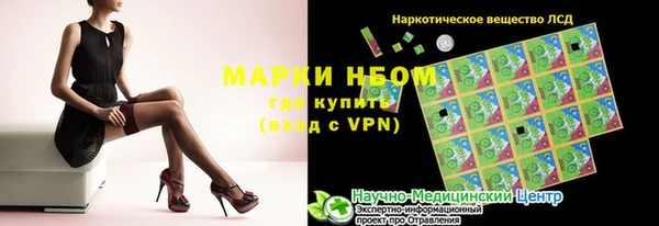 ПСИЛОЦИБИНОВЫЕ ГРИБЫ Богданович