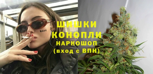 apvp Богородицк