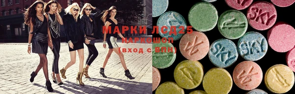 ПСИЛОЦИБИНОВЫЕ ГРИБЫ Богданович