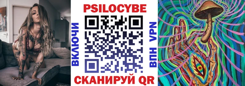 дарнет шоп  Красный Кут  Псилоцибиновые грибы мицелий 
